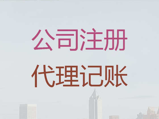 常州记账报税代理公司|小规模纳锐人记账/做账代理,代理商标续展